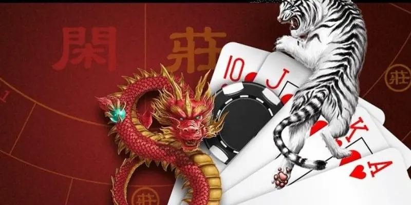 Cách soi cầu rồng hổ 999bet chi tiết nhất